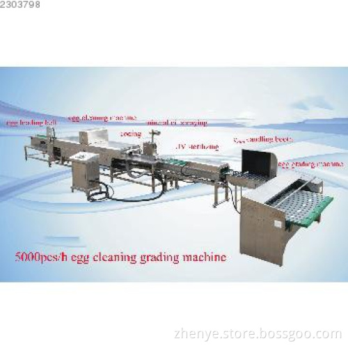 5000pcs/h egg cleaning grading machine